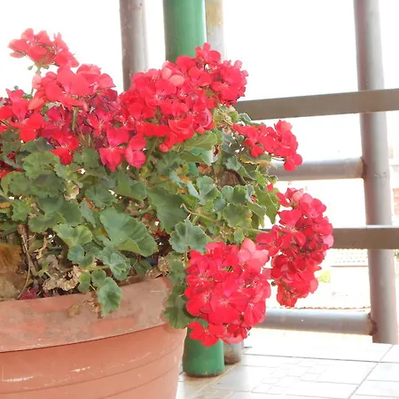 Vendégház & Zdrava Hrana